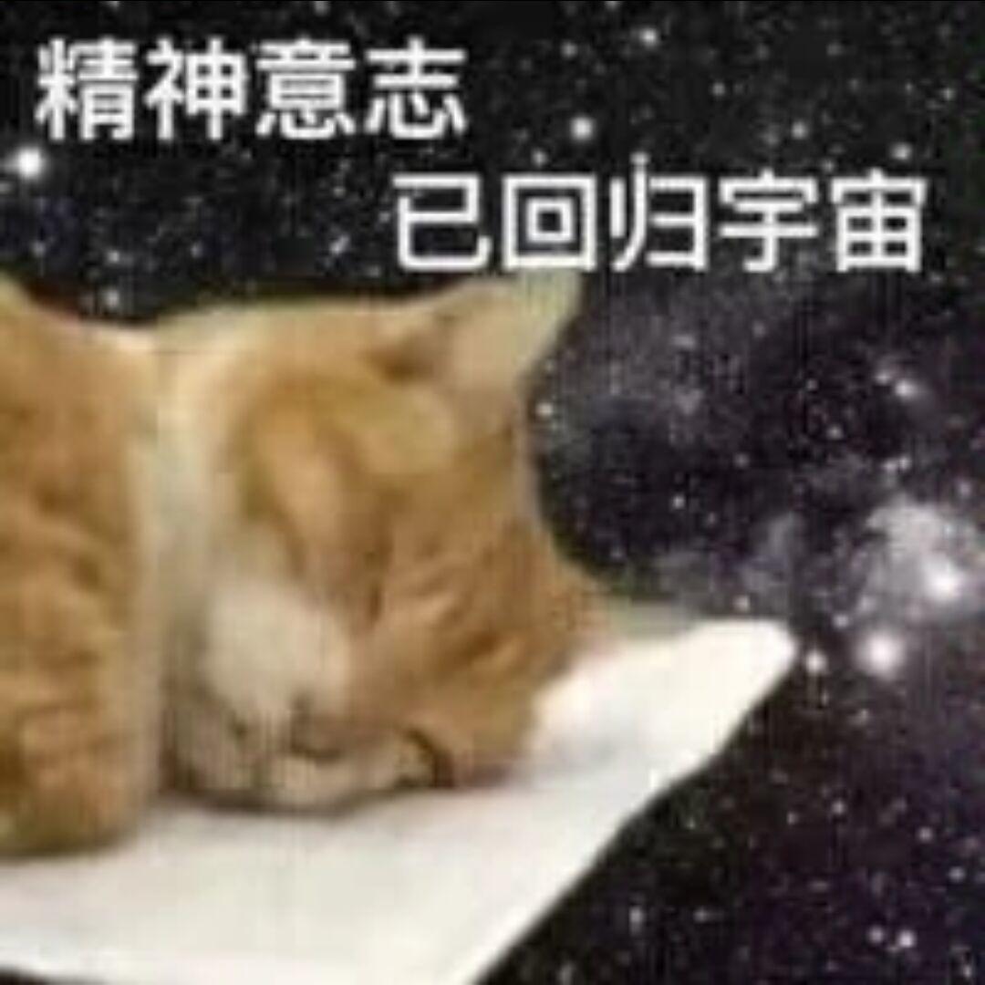 假发